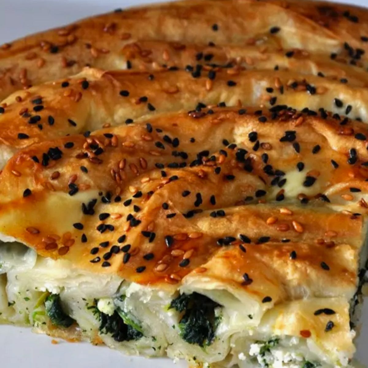 Ispanaklı Tepsi Böreği