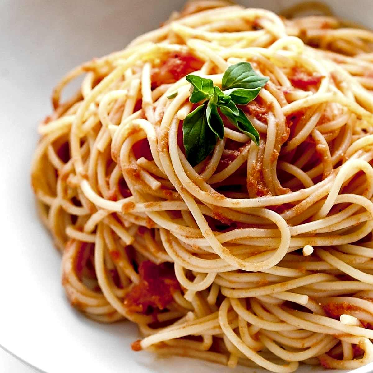 Sphagetti